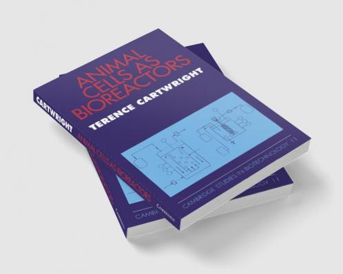 Animal Cells as Bioreactors