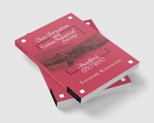 Class Formation and Urban Industrial Society