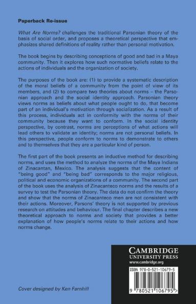 What Are Norms?