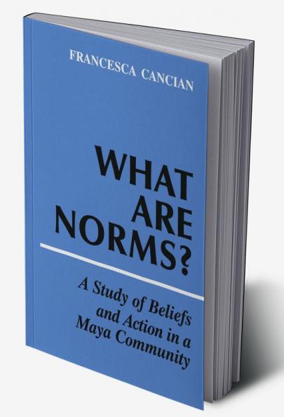 What Are Norms?