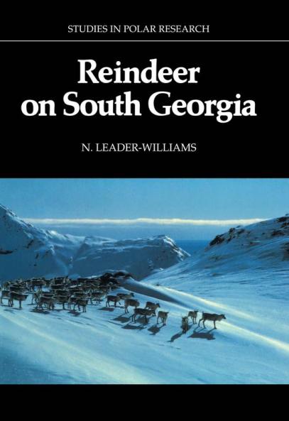 Reindeer on South Georgia