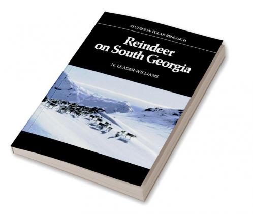 Reindeer on South Georgia