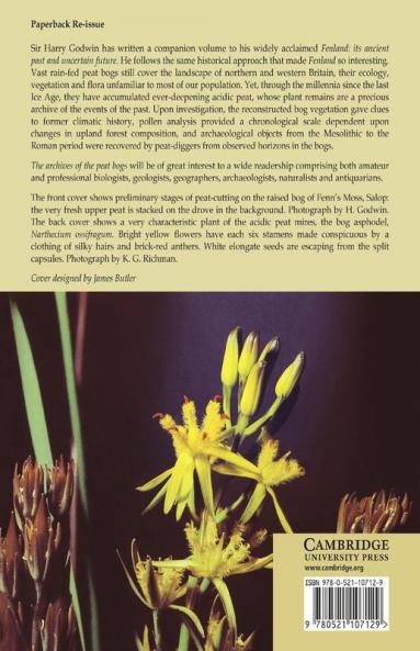 The Archives of Peat Bogs