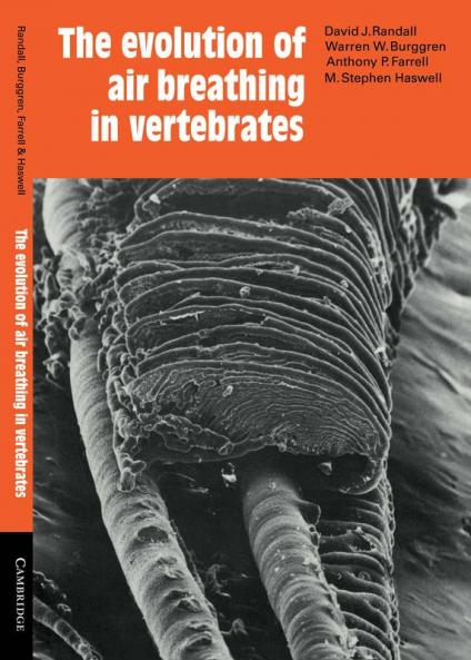 The Evolution of Air Breathing in Vertebrates