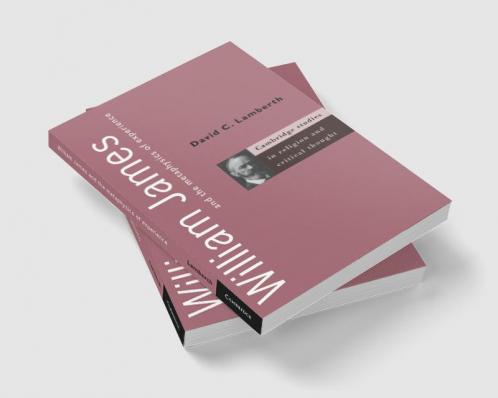 William James and the Metaphysics of Experience