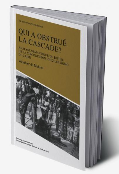 Qui a Obstru La Cascade?