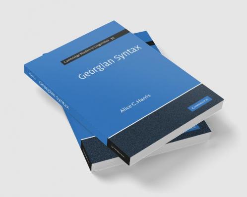 Georgian Syntax