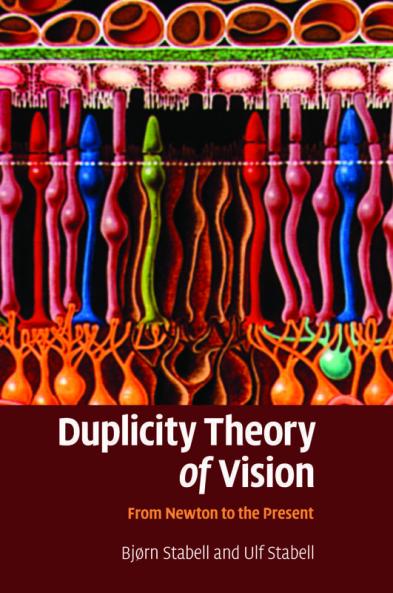 Duplicity Theory of Vision