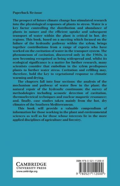 Water Transport in Plants Under Climatic Stress