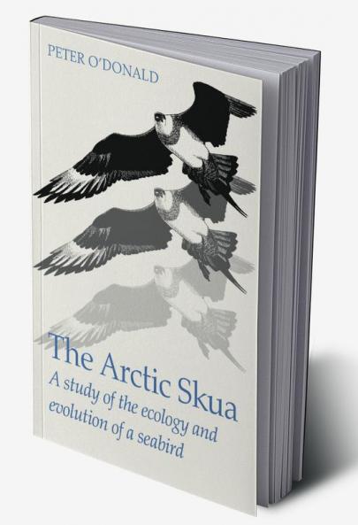 The Arctic Skua