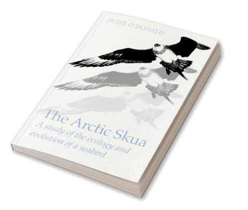 The Arctic Skua