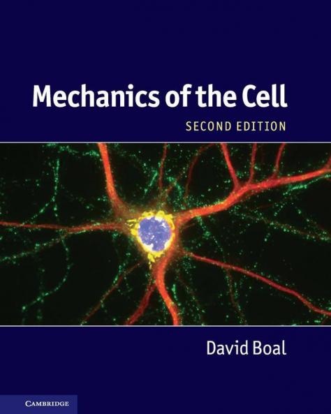 Mechanics of the Cell