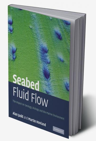 Seabed Fluid Flow