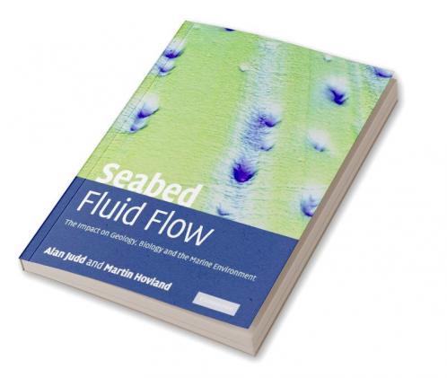 Seabed Fluid Flow