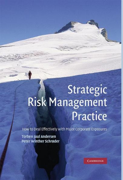 Strategic Risk Management Practice