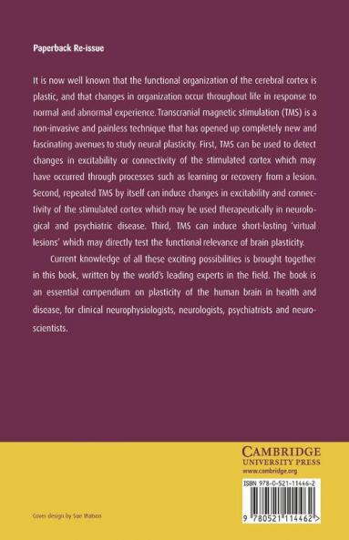 Plasticity in the Human Nervous System