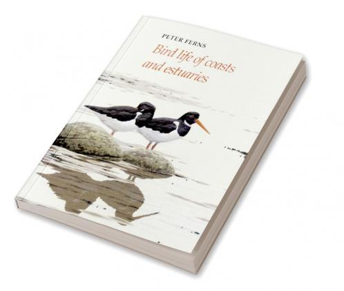 Bird Life of Coasts and Estuaries