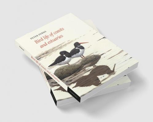 Bird Life of Coasts and Estuaries