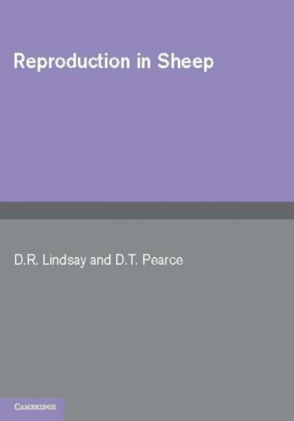 Reproduction in Sheep