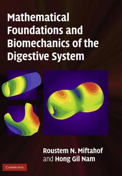 Mathematical Foundations and Biomechanics of the Digestive System