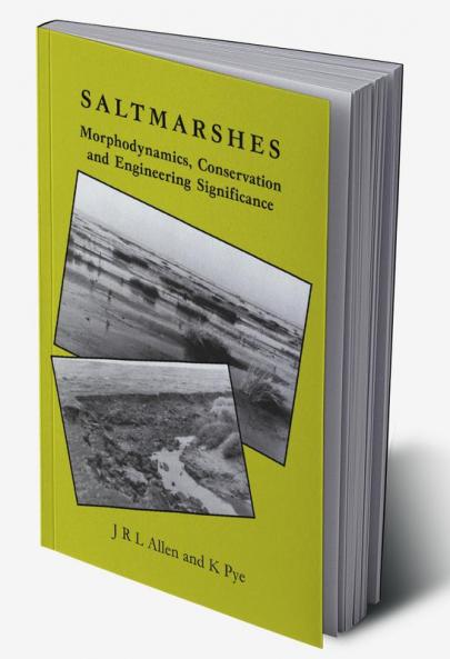 Saltmarshes