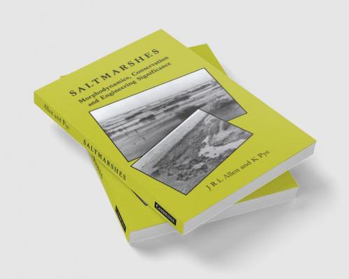 Saltmarshes