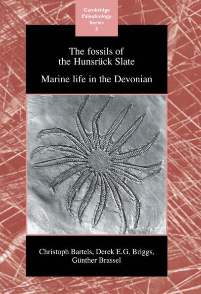 The Fossils of the Hunsruck Slate