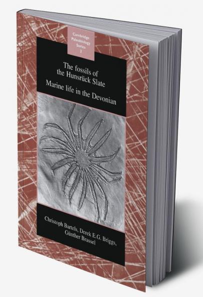 The Fossils of the Hunsruck Slate