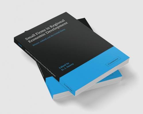 Small Firms in Regional Economic Development
