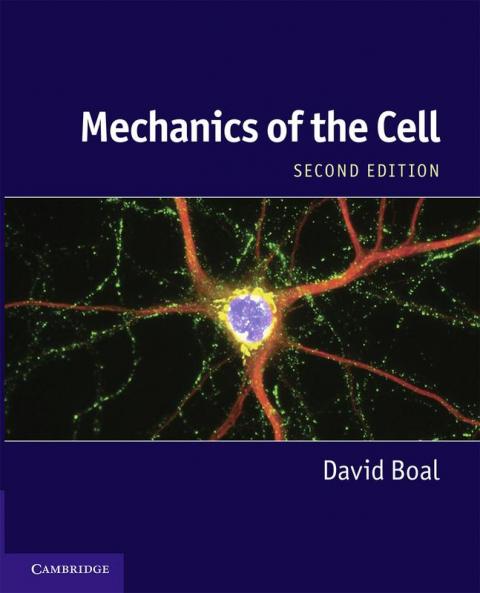 Mechanics of the Cell