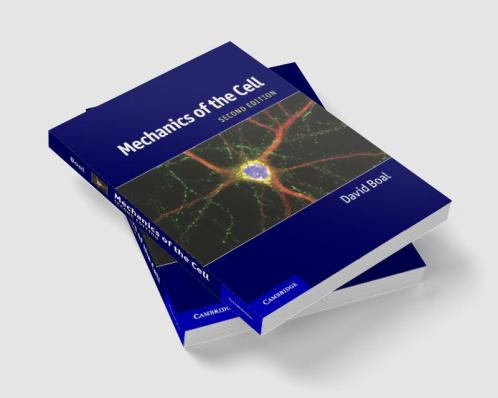 Mechanics of the Cell
