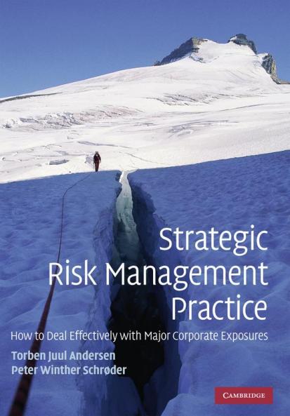 Strategic Risk Management Practice