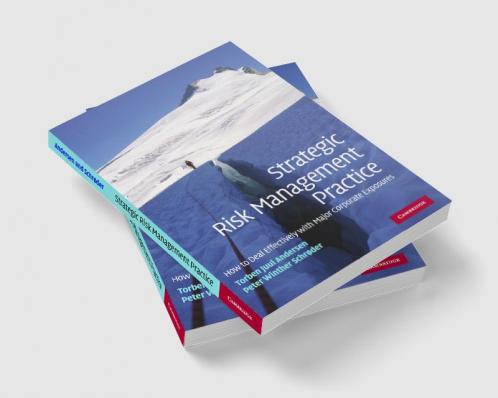 Strategic Risk Management Practice