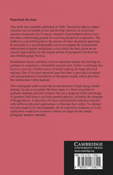Models of High Energy Processes