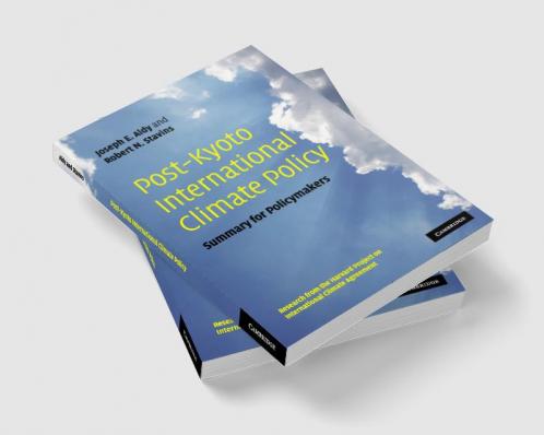 Post-Kyoto International Climate Policy