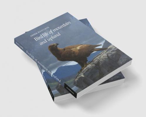 Bird Life of Mountain and Upland