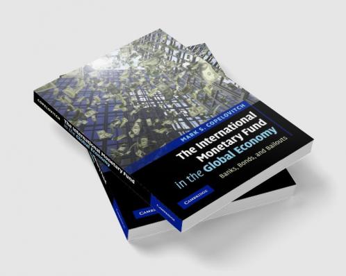 The International Monetary Fund in the Global Economy