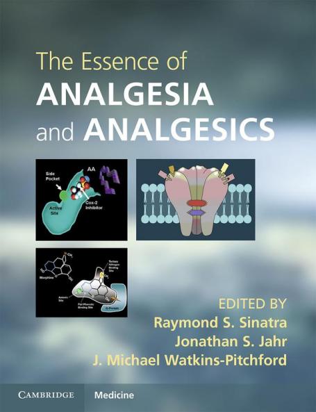 The Essence of Analgesia and Analgesics