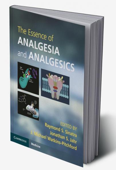 The Essence of Analgesia and Analgesics