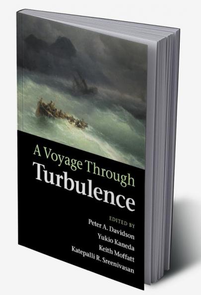 A Voyage Through Turbulence