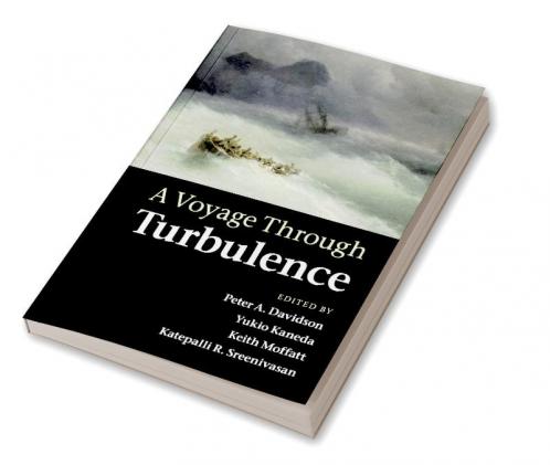 A Voyage Through Turbulence