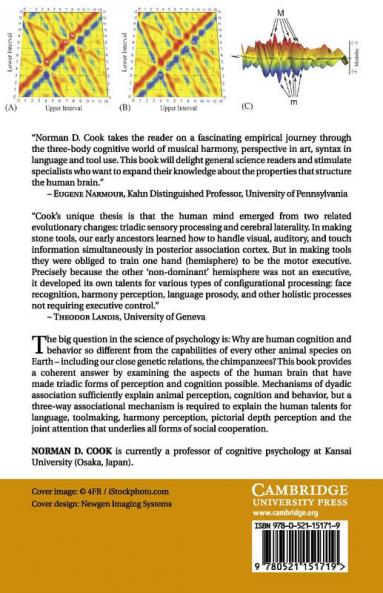 Harmony Perspective and Triadic Cognition