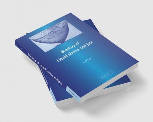 Breakup of Liquid Sheets and Jets