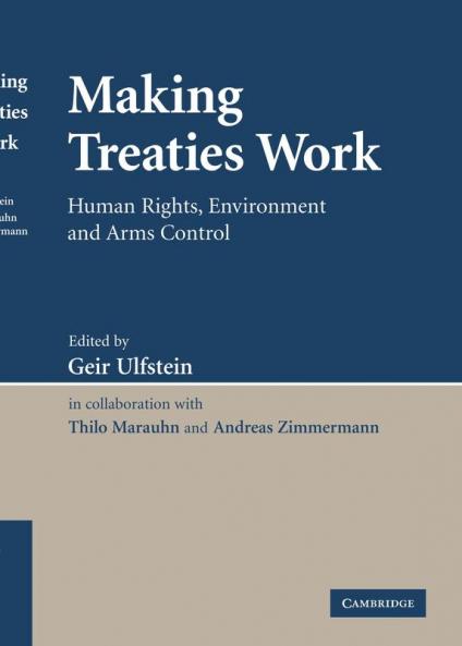 Making Treaties Work