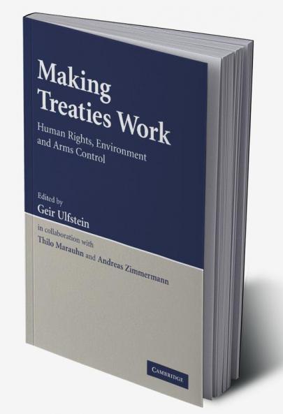 Making Treaties Work