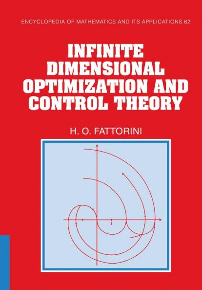 Infinite Dimensional Optimization and Control Theory
