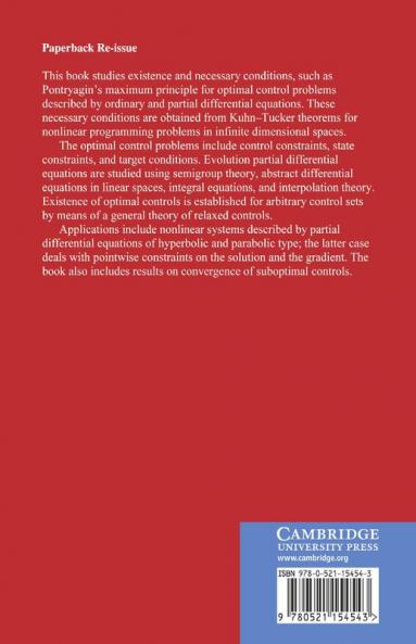 Infinite Dimensional Optimization and Control Theory