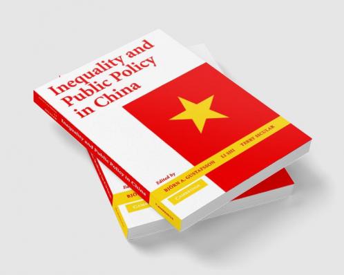 Inequality and Public Policy in China