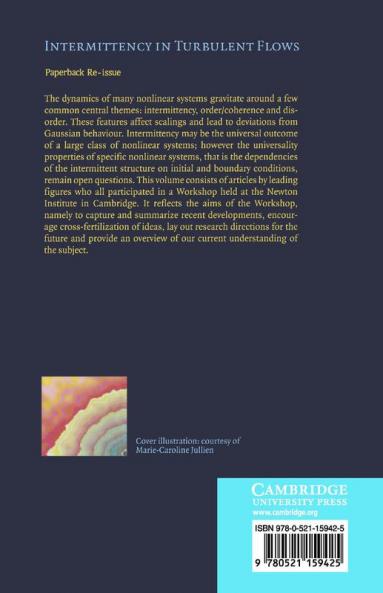 Intermittency in Turbulent Flows