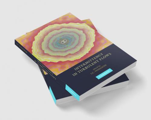 Intermittency in Turbulent Flows